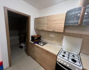 Casa 3 camere, complet mobilata si utilata, de inchiriat in Dambul Rotund