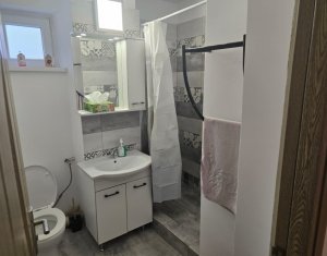 Inchiriere apartament 2 camere etaj 1, Gruia, pet friendly