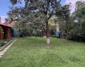 1 camera, zona BT Arena