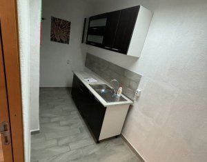 Apartament de inchiriat In Piata Muzeului pentru birouri/comercial