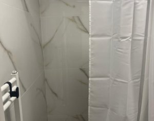 Industrial space for rent in Cluj-napoca