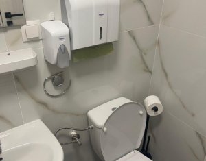 Industrial space for rent in Cluj-napoca