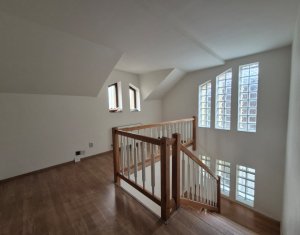 Bureau à louer dans Cluj-napoca