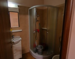 Spatiu pentru sediu firma, birou, Centru