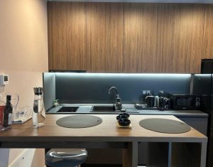 Apartment 1 rooms for rent in Cluj-napoca, zone Zorilor