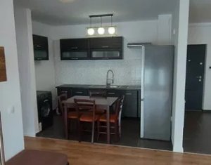 Appartement 2 chambres à louer dans Cluj-napoca, zone Buna Ziua
