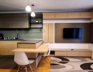 Ichiriere apartament cu o camera, 40mp in Andrei Muresanu