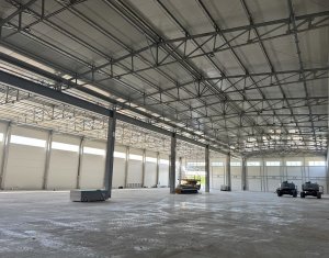 Industrial space for rent in Baciu