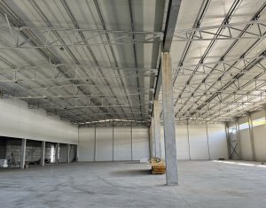 Industrial space for rent in Baciu