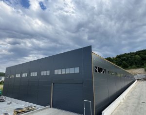 Industrial space for rent in Baciu