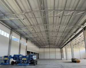 Industrial space for rent in Baciu