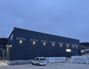 Industrial space for rent in Baciu