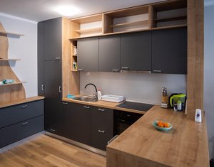 Appartement 2 chambres à louer dans Cluj-napoca, zone Buna Ziua