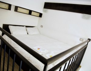 Apartment 1 rooms for rent in Cluj-napoca, zone Manastur