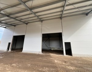 Hala noua 211mp depozit sau productie, str Plevnei