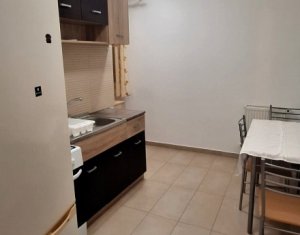 Apartment 1 rooms for rent in Cluj-napoca, zone Iris