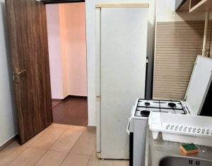Apartment 1 rooms for rent in Cluj-napoca, zone Iris