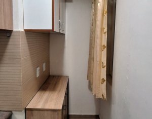 Apartment 1 rooms for rent in Cluj-napoca, zone Iris