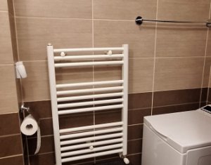 Apartment 1 rooms for rent in Cluj-napoca, zone Iris