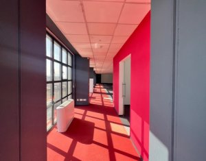 Office for rent in Cluj-napoca, zone Centru