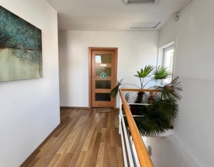 Bureau à louer dans Cluj-napoca, zone Gruia