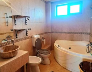 Appartement 3 chambres à louer dans Cluj-napoca, zone Borhanci