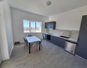 Maison 4 chambres à louer dans Cluj-napoca