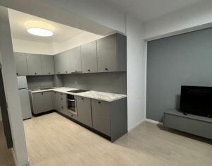 Apartment 1 rooms for rent in Cluj-napoca, zone Manastur