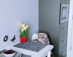 Inchiriere apartament 1 camera Park Lake