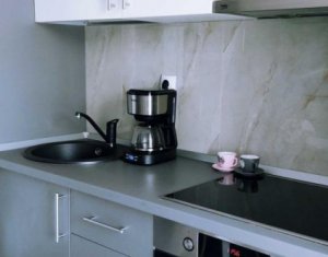 Inchiriere apartament 1 camera Park Lake