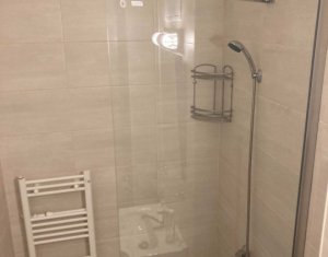 Appartement 1 chambres à louer dans Cluj-napoca, zone Manastur