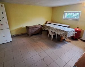 Spatiu de inchiriat la demisol