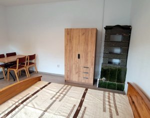 Apartament 1 camera, 45 mp, curte, Cipariu