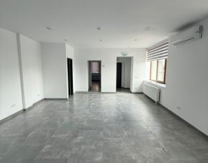 Espace Commercial à louer dans Cluj-napoca, zone Iris