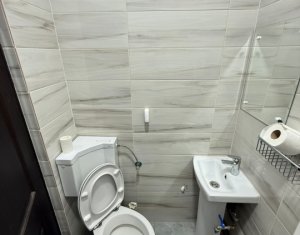 Espace Commercial à louer dans Cluj-napoca, zone Iris