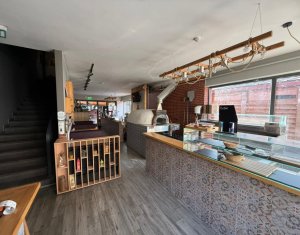 Commercial space for rent in Cluj-napoca, zone Centru
