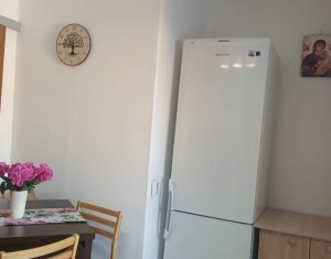 Appartement 2 chambres à louer dans Cluj-napoca, zone Intre Lacuri