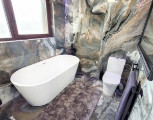 Duplex cu piscina, cartier Gruia, parcare, curte, terasa