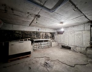 Espace Commercial à louer dans Cluj-napoca, zone Manastur