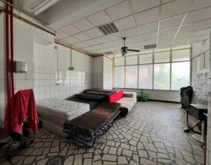 Espace Commercial à louer dans Cluj-napoca, zone Manastur