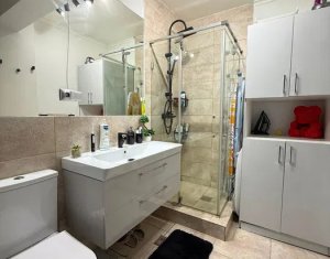 Appartement 2 chambres à louer dans Cluj-napoca, zone Europa