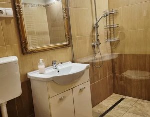 Apartment 1 rooms for rent in Cluj-napoca