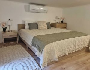 Apartament cu 3 camere Ultracentral cu acces la gradina, Piata Unirii 