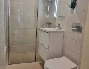 Apartament cu 3 camere Ultracentral cu acces la gradina, Piata Unirii 