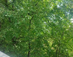 Buna Ziua, 3 cam, 95 mp, totul la cheie, 2 balcoane, parcare/garaj, pet friendly