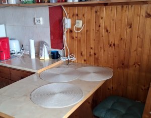 Apartment 2 rooms for rent in Cluj-napoca, zone Marasti