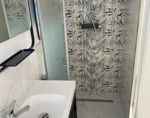 Duplex spatiu birouri, 5 camere, Iris, curte proprie, terasa, parcari