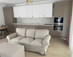 Maison 5 chambres à louer dans Cluj-napoca, zone Iris