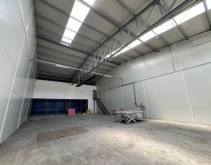 Industrial space for rent in Gilau