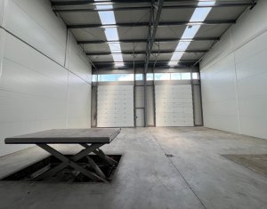 Industrial space for rent in Gilau